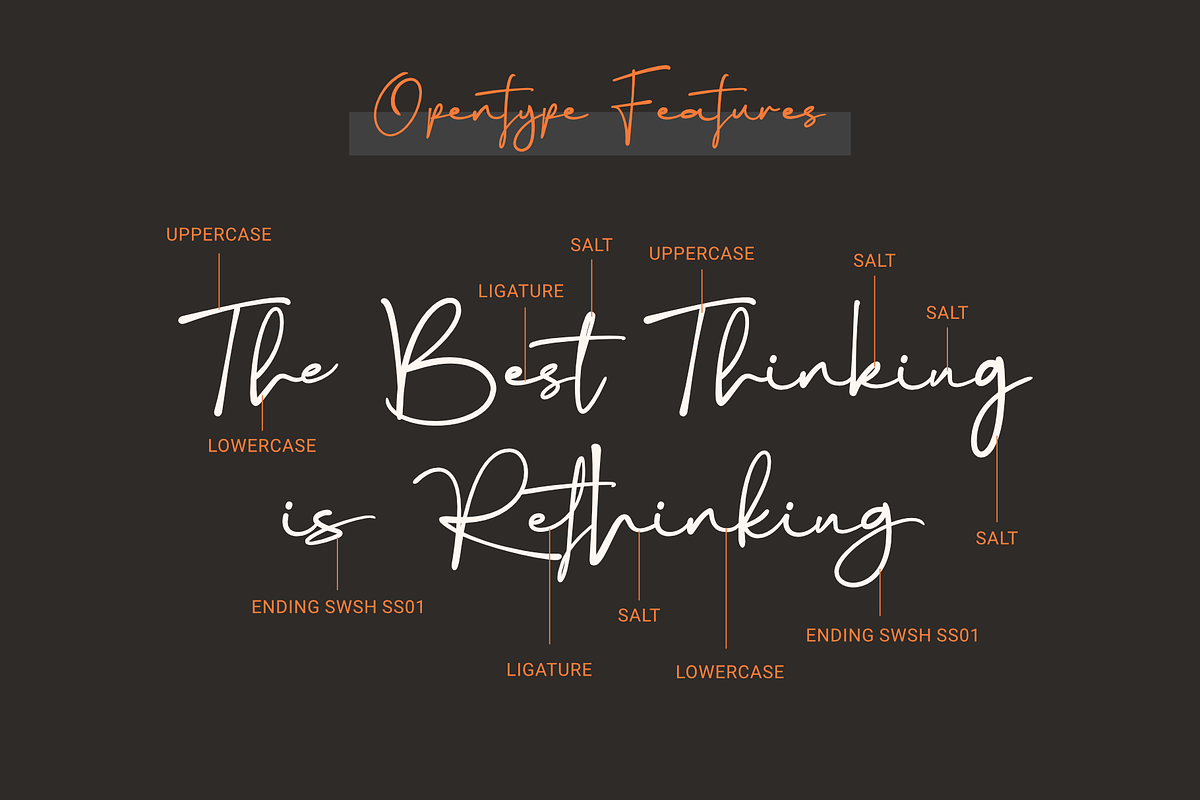Rethinker - Stylish Signature, a Script Font by Dumadistyle (Photo 5 of 9)