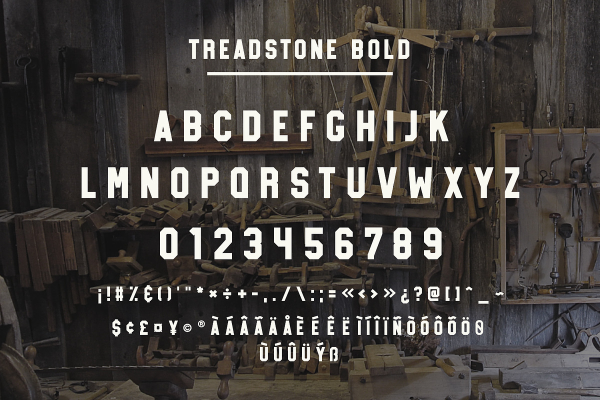 Treadstone - 8 Font Family, a Slab Serif Font by Greg Nicholls (Photo 10 of 16)