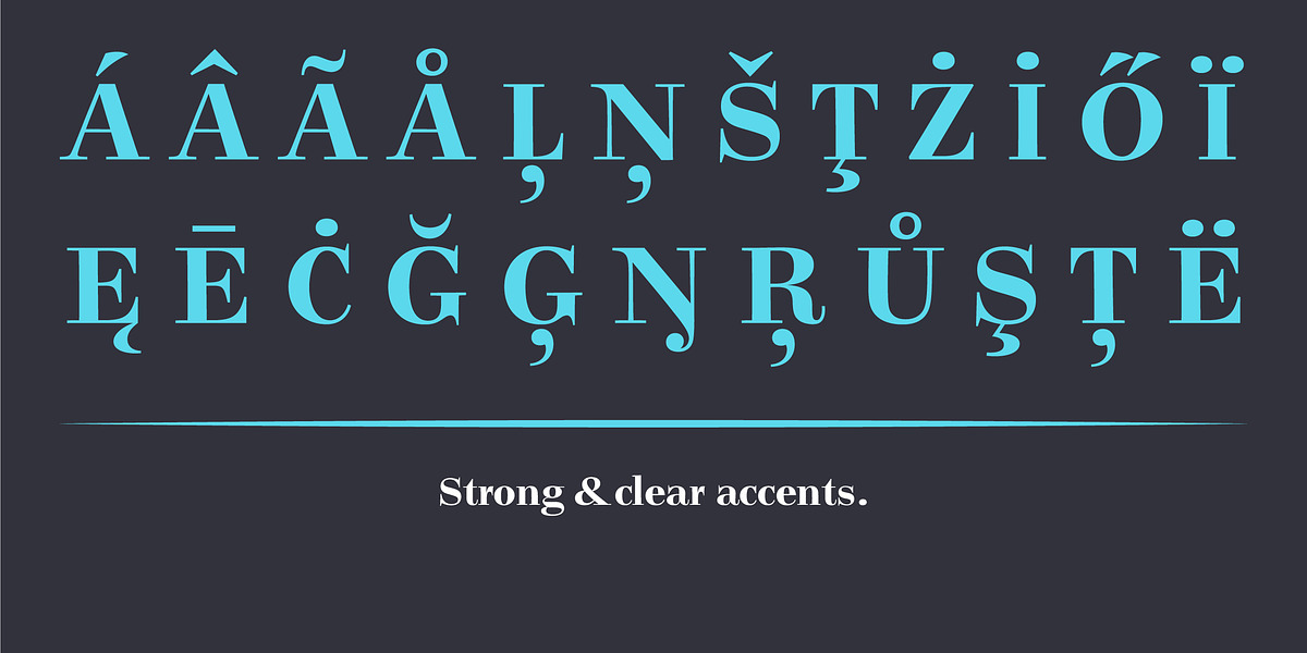 Legit Didone, a Serif Font by Finaltype (Photo 6 of 13)