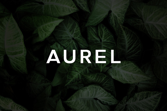 Aurel - An Open Sans Serif Typeface preview 7
