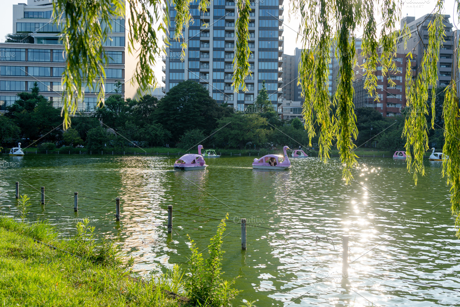 Shinobazu no Ike lake view in Ueno, Tokyo, Japan, an Architecture Photo by GoodGoods