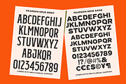 IC Pearson Neue - Font Duo, a Serif Font by IronbirdCreative (Thumbnail 8 of 9)