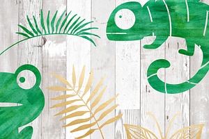 Rainforest & Jungle Clipart Set