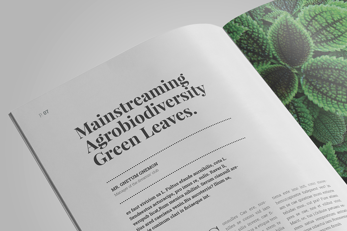 Indesign Magazine Template #6, a Magazine Template by spidergraph (Photo 5 of 12)