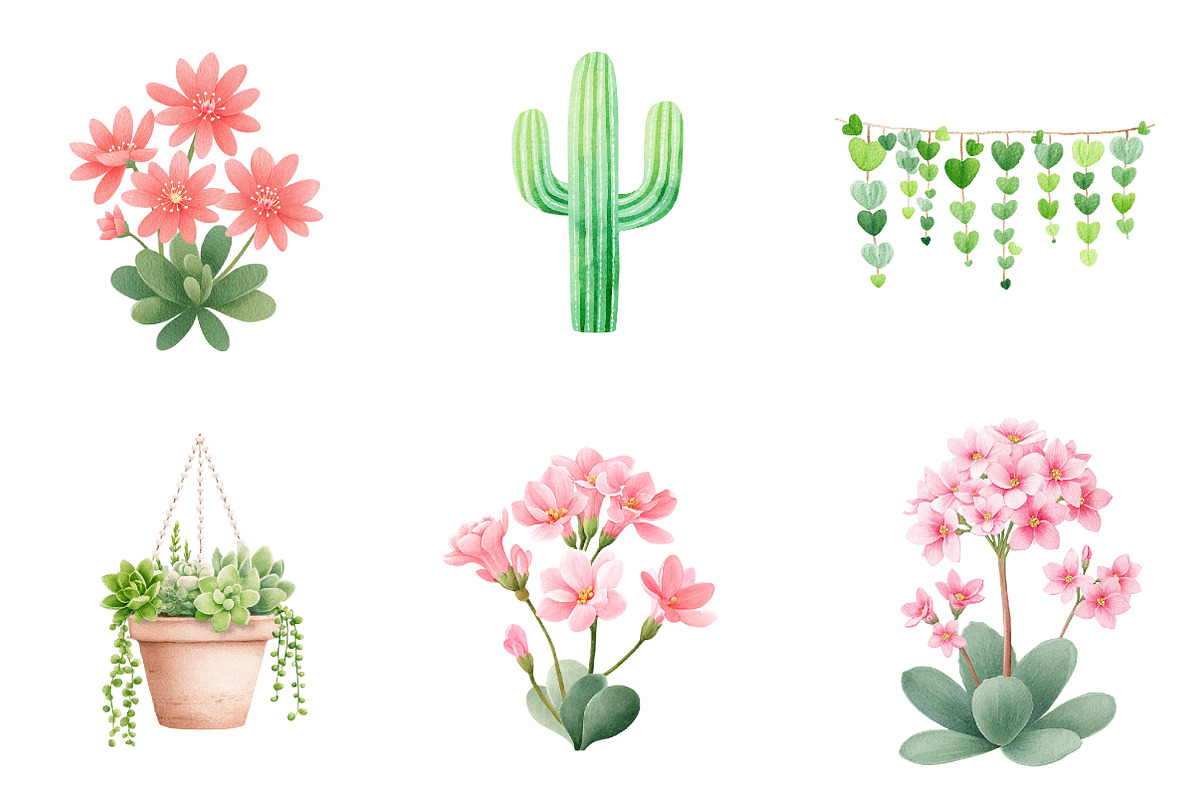 Watercolor Succulent Clipart, an Illustration by CreationArt (Photo 2 of 5)