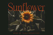 Breasto - Display Serif, a Sans Serif Font by tebaltipislab (Thumbnail 16 of 18)