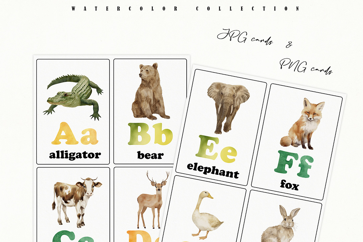 Animal Alphabet Flashcards, an Education Illustration by Sunshine Art (Photo 2 of 11)