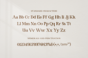 Contagia - Modern Stylish, a Serif Font by RockboyStd (Thumbnail 10 of 12)