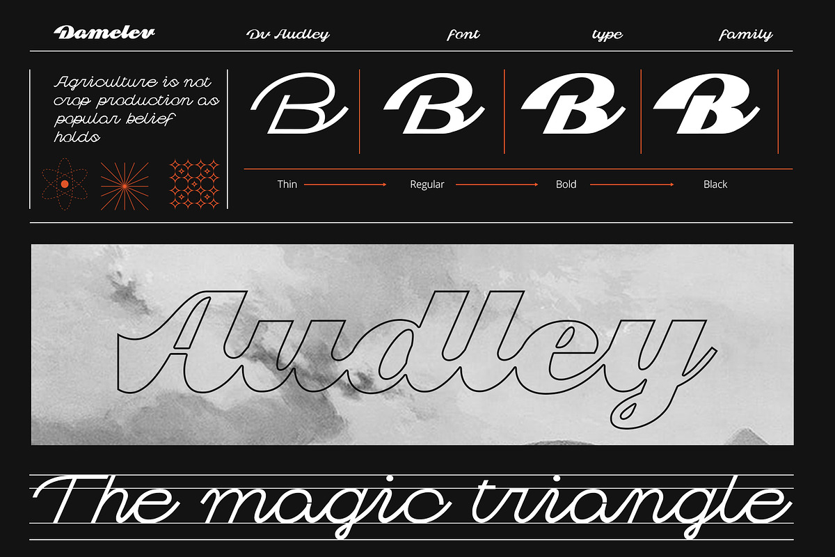 Dv Audley, a Script Font by Damelev (Photo 13 of 15)