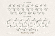 Dove and Goose Typeface, a Serif Font by alit design (Thumbnail 13 of 20)