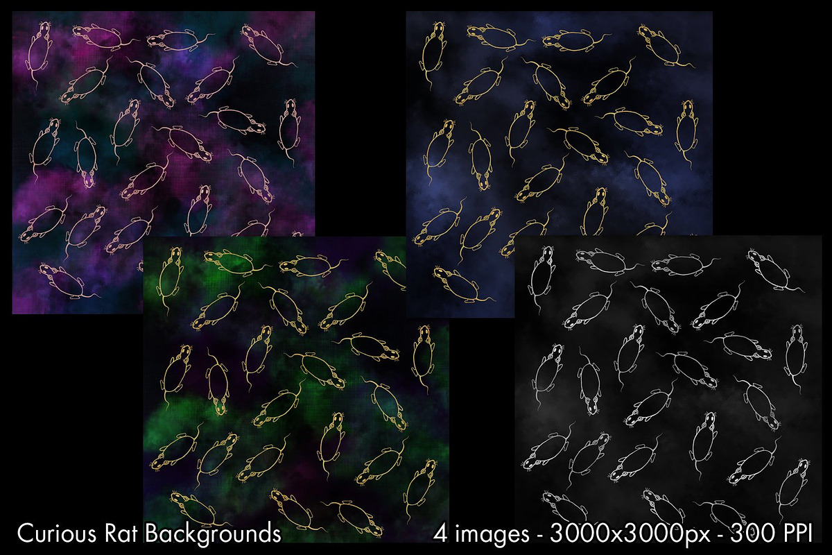 Curious Rat Backgrounds - 4 Images, a Background Graphic by Sapphire X Designs (Photo 2 of 2)