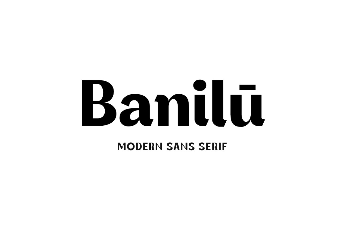 Banilu Modern Sans, a Sans Serif Font by Yukita Creative (Photo 1 of 10)