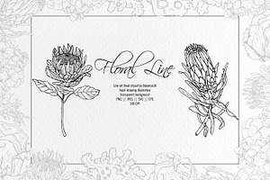 Floral Line Art Clipart