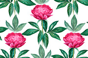 Watercolour illustrations of peonies, a Pattern Graphic by Sundra (Thumbnail 8 of 9)