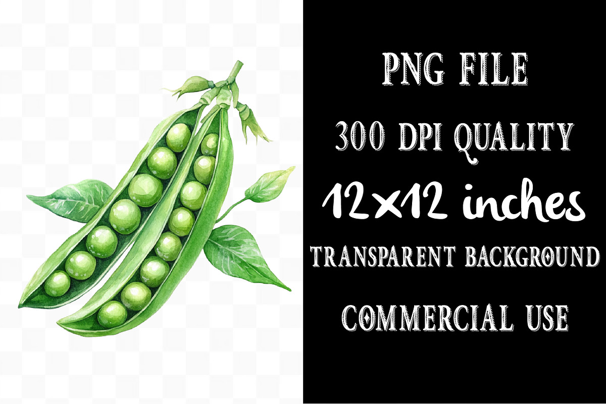 Watercolor Vegetable PNG Bundle, an Illustration by Designking (Photo 4 of 5)