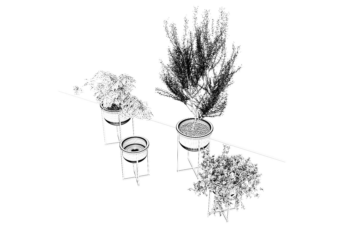 Interior Plants Trio, a Furniture 3D Model by 3DCargo (Photo 5 of 9)