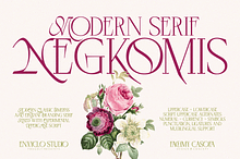 Negkomis — Elegant Ligature Serif