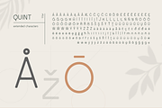 Quint Extended Font, a Sans Serif Font by Wild Ones (Thumbnail 9 of 10)