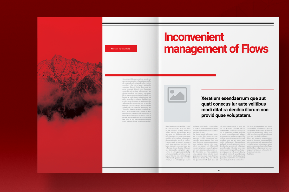 Swiss Style Magazine Template, a Magazine Template by Boris Cupac