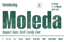 Moleda - Impact Sans Serif Family
