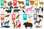 Alphabet with Animals, an Object Graphic by ianakauri (Thumbnail 4 of 4)