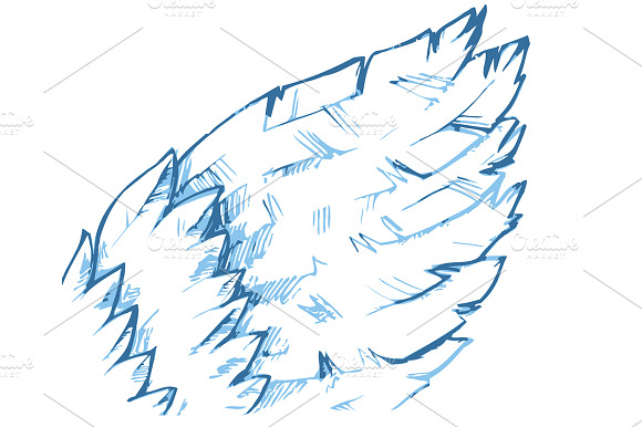 Wing