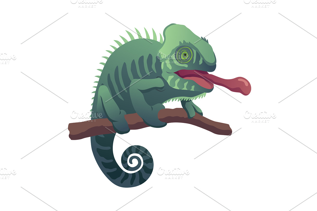Chameleon lizard. Reptiles, an Animal Illustration by Things for designers