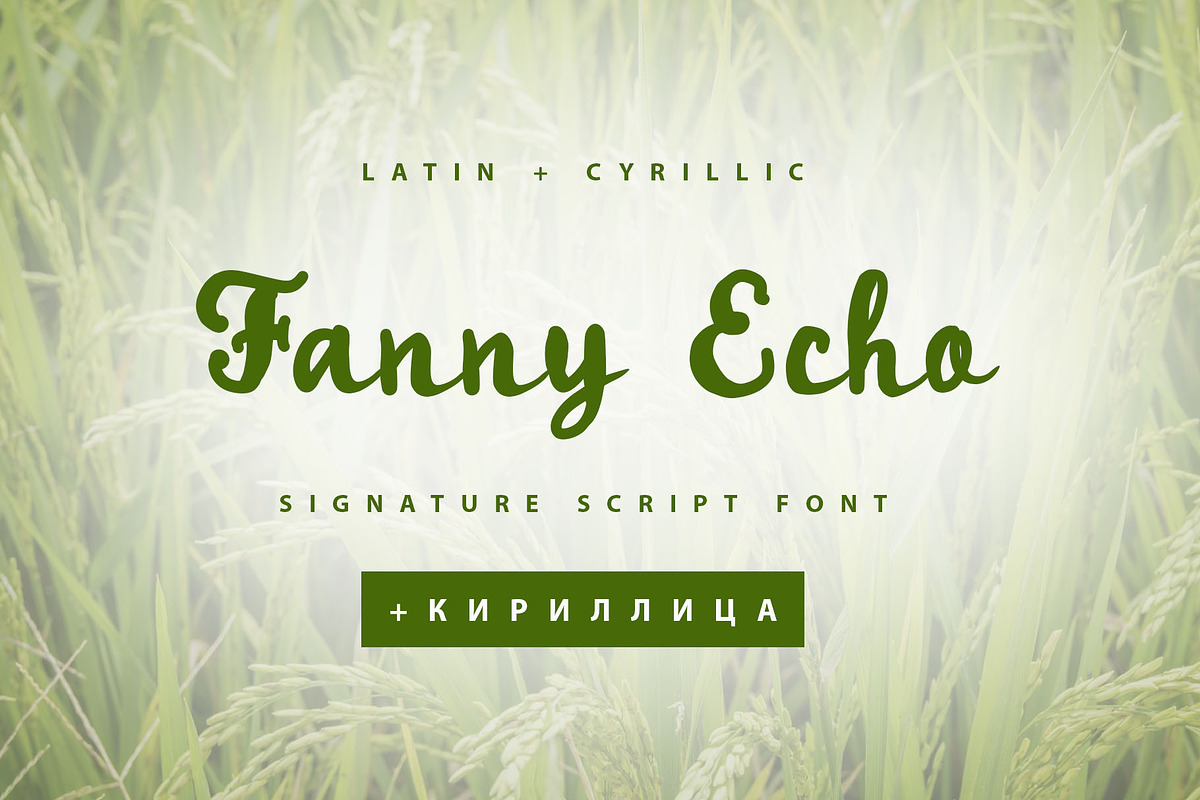 Fanny Echo Cyrillic Script font, a Script Font by IraDvilyuk (Photo 1 of 10)