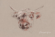 Charcoal Procreate Brushes & Paper, a Brushes & More by Pencil Twist (Thumbnail 5 of 6)