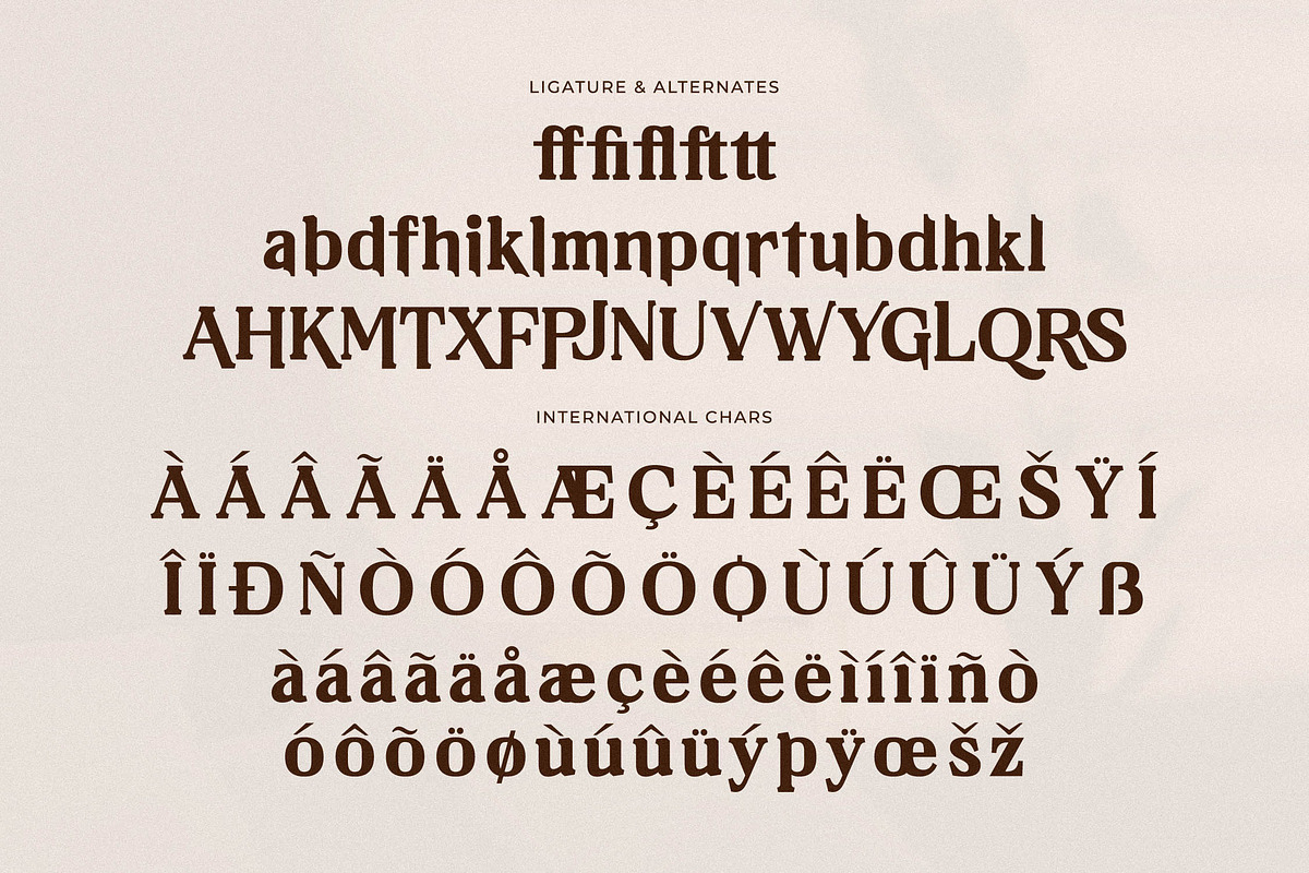 Neraphic A Modern Serif Font, a Serif Font by Storytype Studio (Photo 14 of 15)