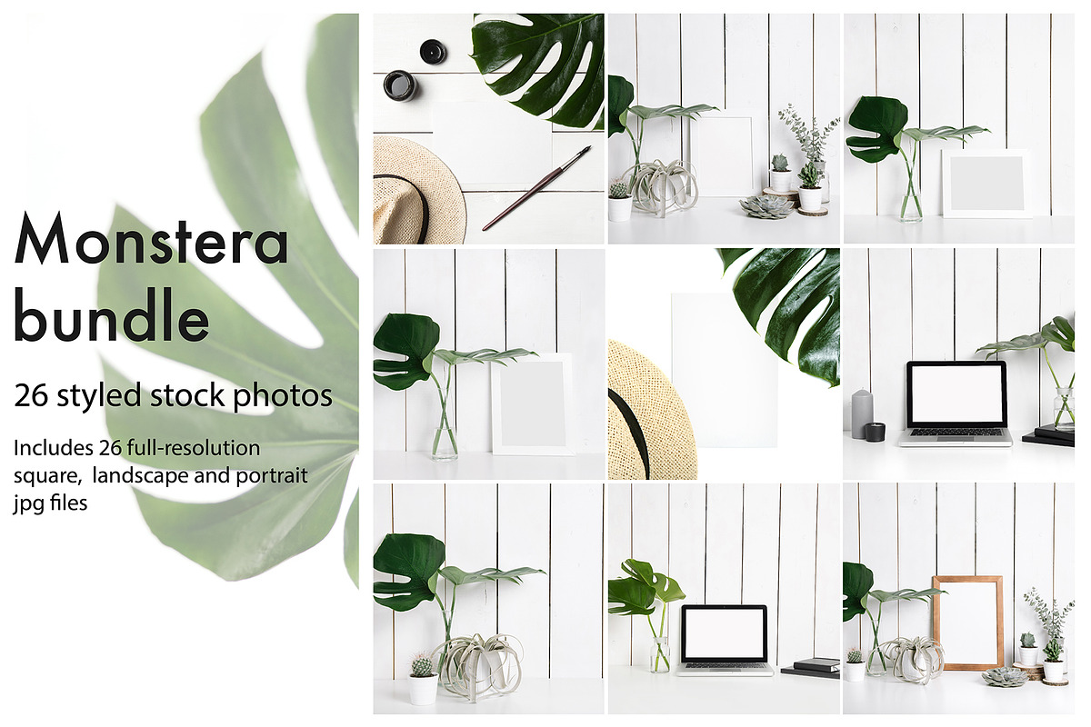 Monstera photo bundle, a Product Mockup by KateAedon (Photo 1 of 4)