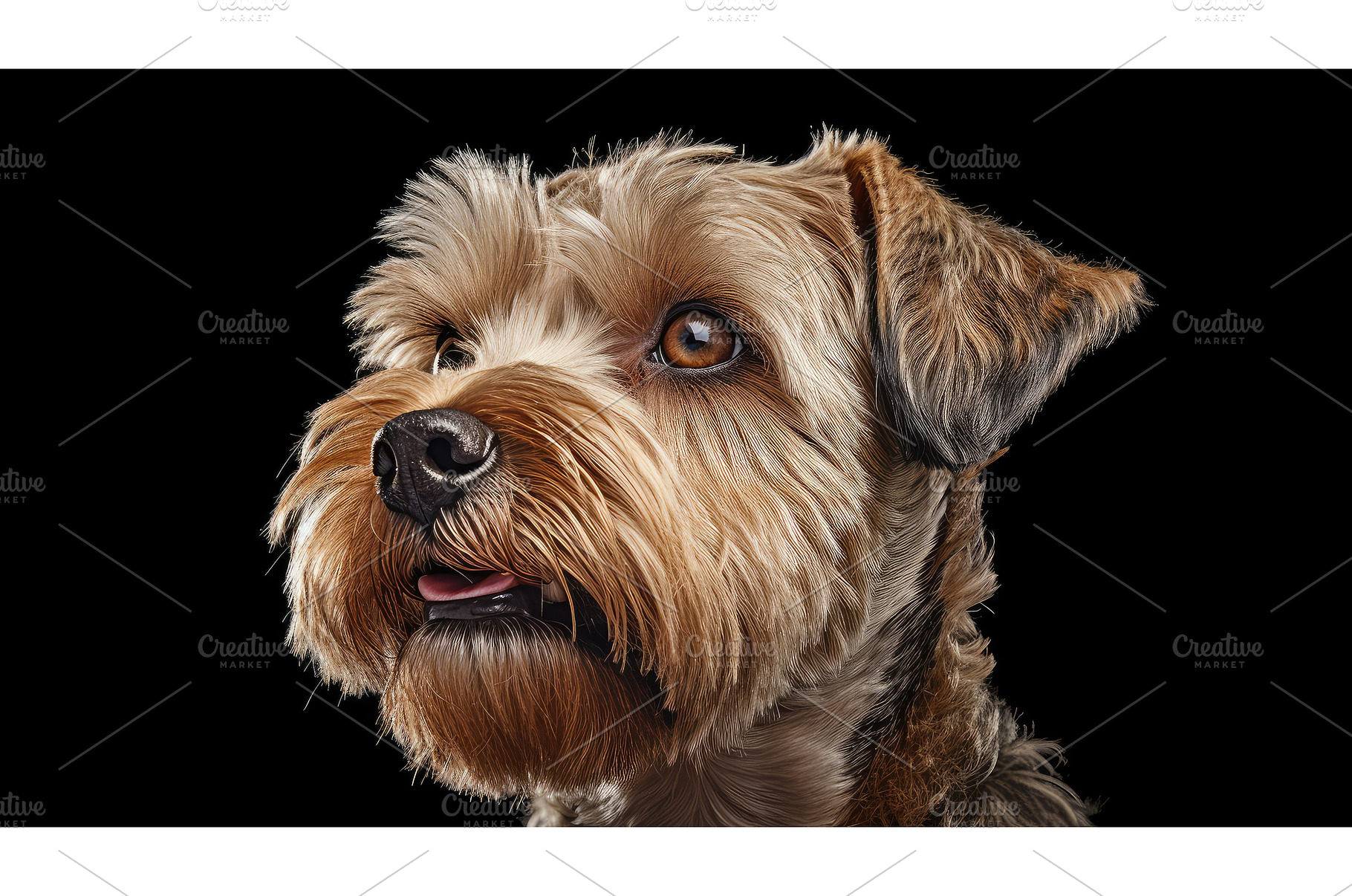 pet bulldog english ai generated, an Animal Photo by pikepicture