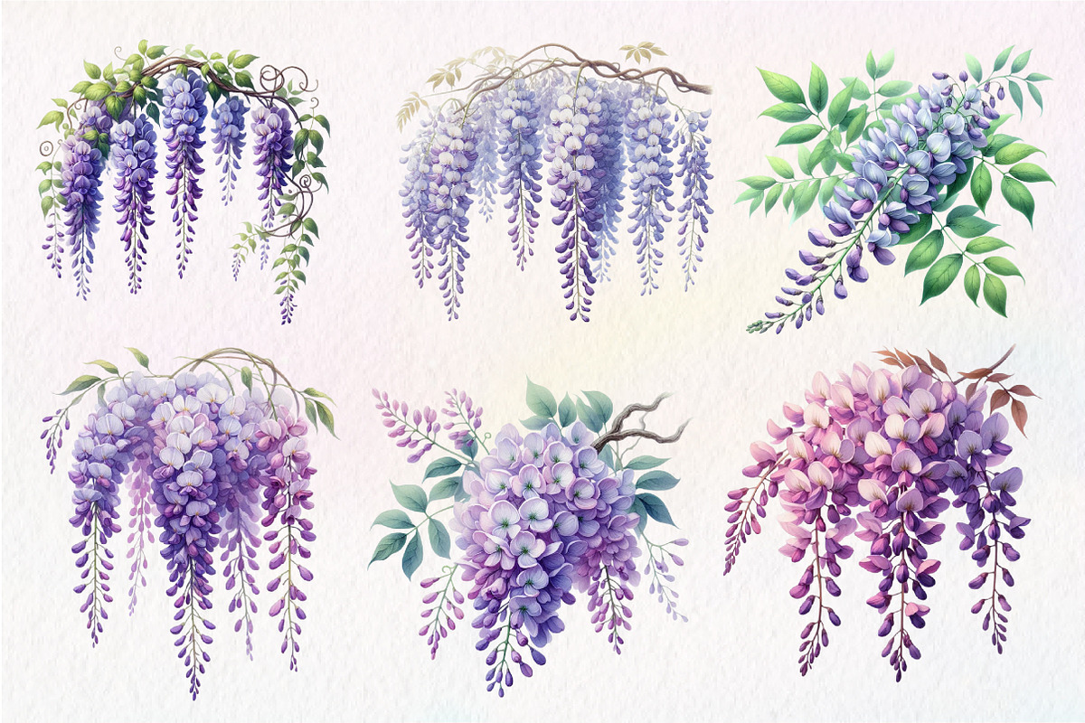 Wisteria Floral Garden Clipart, an Illustration by Dream Creation (Photo 6 of 7)