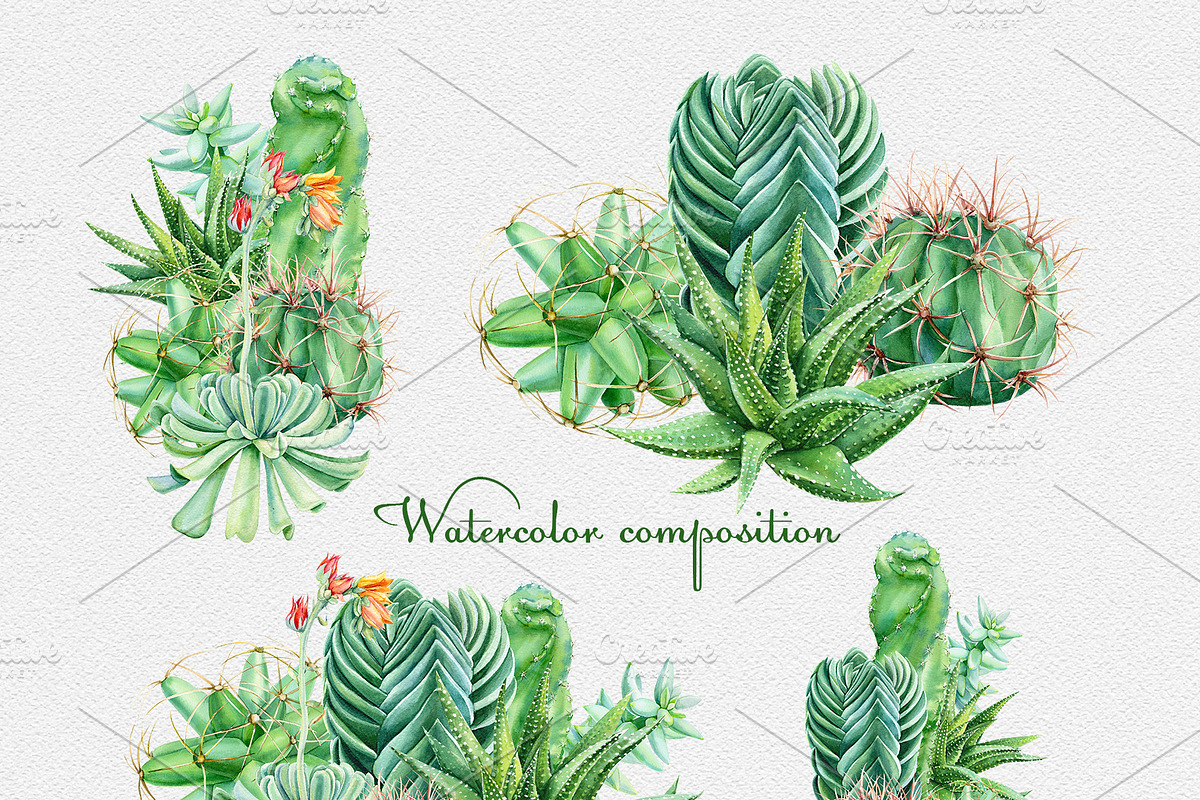 Watercolor Green plants, a Decorative Illustration by Hanna Hryharenka (Photo 5 of 11)