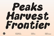 Carlise Pixel, a Sans Serif Font by Craft Supply Co. (Thumbnail 2 of 8)