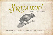 Ornithology Bird Illustrations, an Illustration by BlackBird Foundry (Thumbnail 3 of 3)