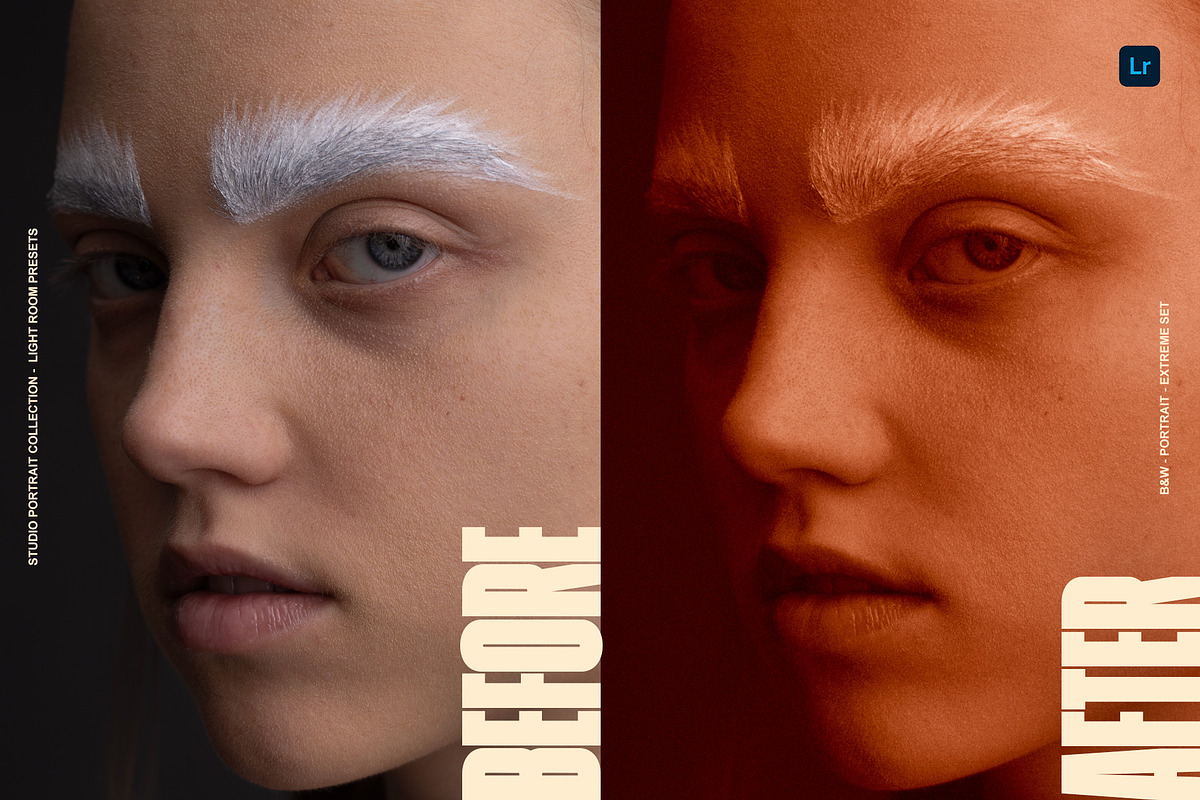 Alternative Photography LR Presets, a Preset Add-On by Lumière Noire Studio (Photo 5 of 6)