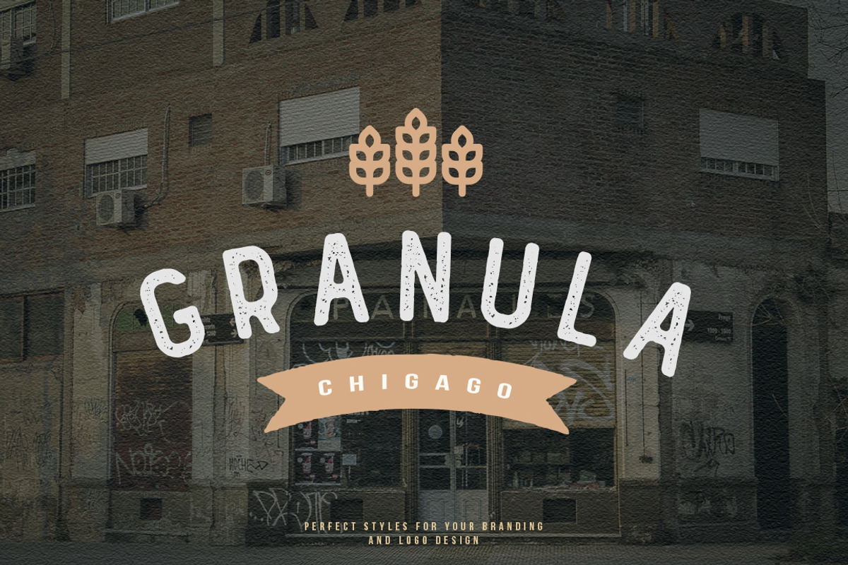 GRAHM Vintage Sans Serif preview 2