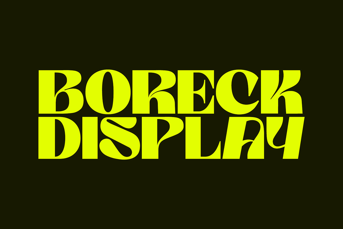 Boreck Display, a Sans Serif Font by Foxtype (Photo 1 of 5)
