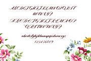 Wedding script, a Script Font by alphadesign (Thumbnail 6 of 6)
