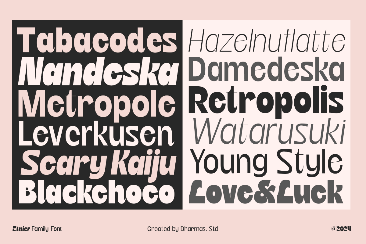 Etnier - 14 Modern Family, a Sans Serif Font by Dharmas Foundry (Photo 8 of 17)