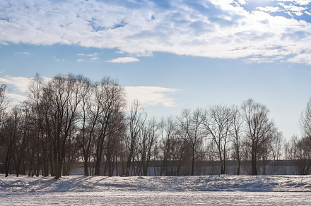 Snow Covered Forest Lake Under Bright Sunshine. Scenic Landscape, a Nature Photo by TanaCh