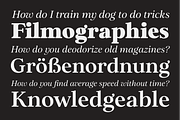 Elgraine – 18 Fonts, a Serif Font by Nasir Udin (Thumbnail 4 of 14)