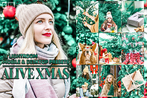 12 Alive Xmas Lightroom Presets, a Preset Add-On by Hue Palettte Studio