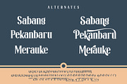 Rolih, a Serif Font by Khoir (Thumbnail 10 of 13)