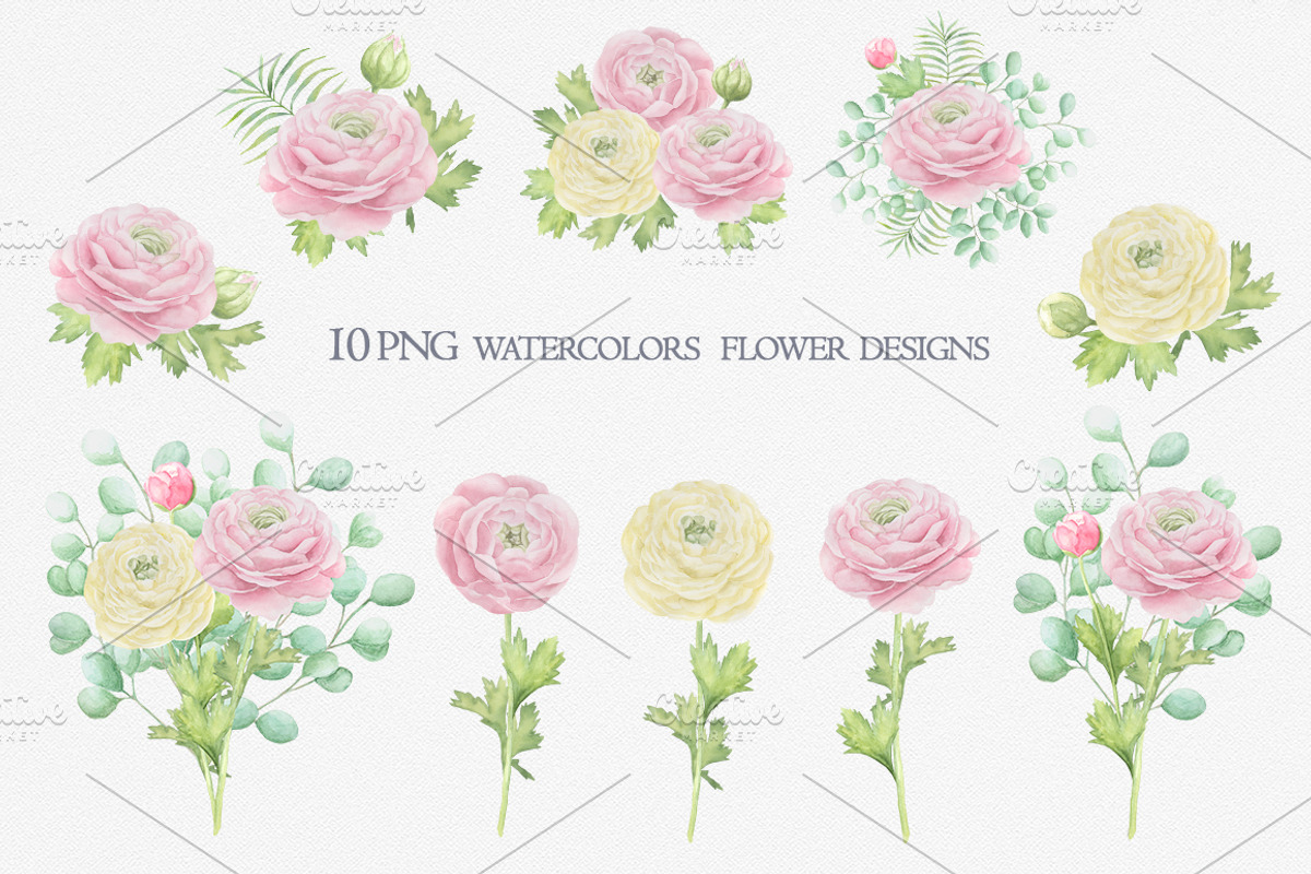 Watercolor ranunculus., an Illustration by BrushArtDesigns (Photo 3 of 6)