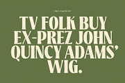 True Sage - Decorative Serif Family, a Font by creativemedialab (Thumbnail 8 of 16)