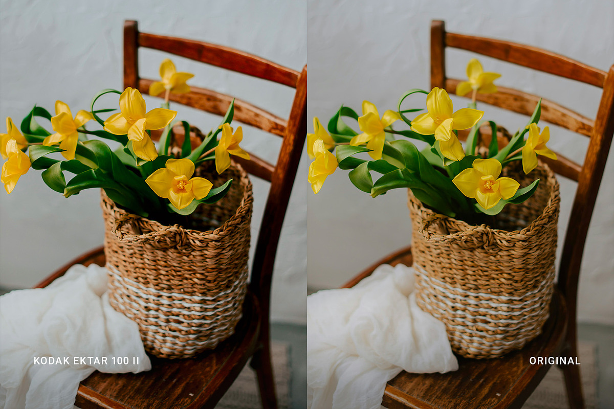 Kodak Ektar 100 II, a Preset Add-On by colorituals (Photo 4 of 8)