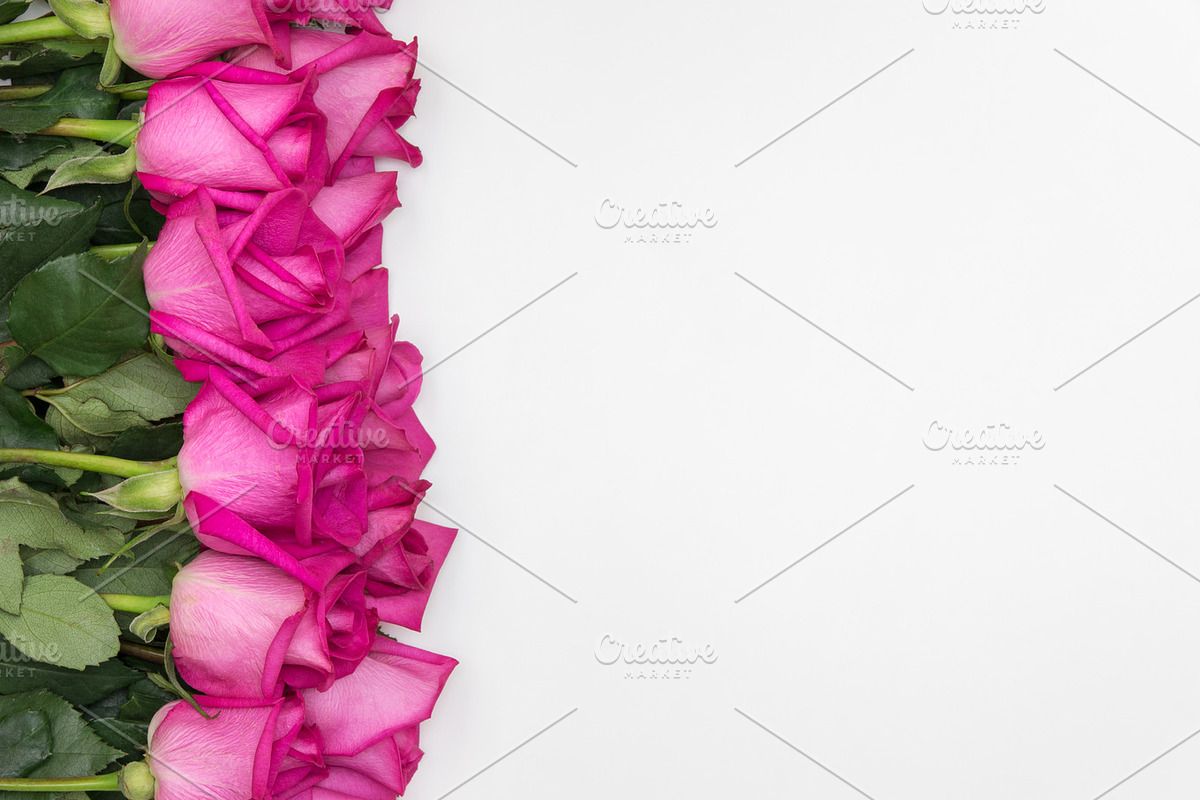 Hot pink roses styled stock, an Abstract Photo by Otago Media (Photo 2 of 2)