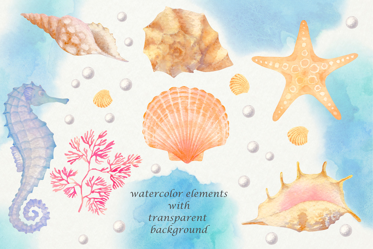 Sea Shells: watercolor set, a Background Graphic by Fortuna Venit (Photo 2 of 6)